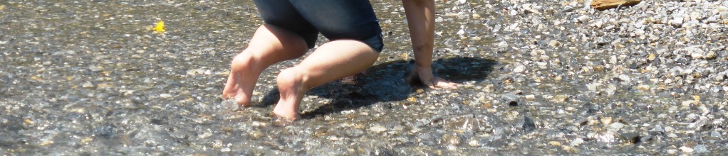 FrüWaSee2
